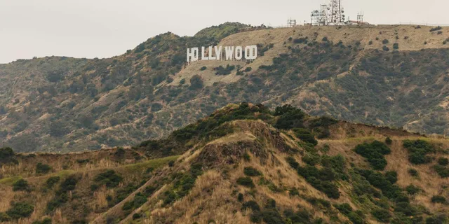 Los Angeles City Tour with Stops - 5.5 hr - Image 3