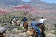 Las Vegas Horseback Riding in Red Rock Canyon 2 hr thumbnail 4