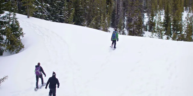Bend Snowshoe Tour with Brews and Views - Image 3