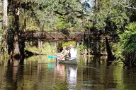Cypress Forest Nature Kayak Eco-Tour thumbnail 3