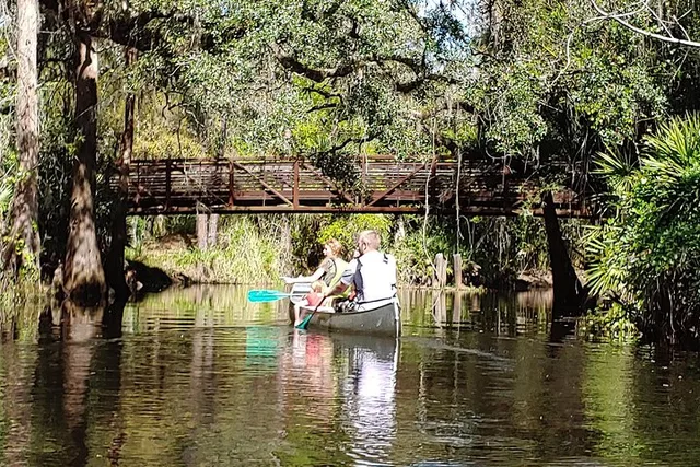 Cypress Forest Nature Kayak Eco-Tour - Image 3