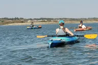 Hilton Head Kayak Dolphin Nature Tour 2 hr thumbnail 5