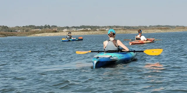 Hilton Head Kayak Dolphin Nature Tour 2 hr - Image 5