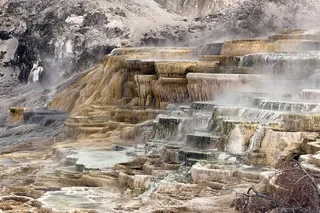 Yellowstone National Park Private Guided Tour