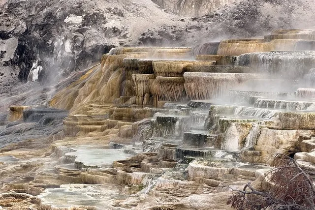Yellowstone National Park Private Guided Tour - Image 1