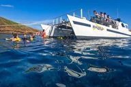 Maui Snorkel Tour to Molokini or Coral Gardens thumbnail 1
