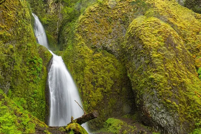 Portland Multnomah Falls and Columbia Gorge Tour - Image 6