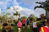 Princeville Botanical Gardens Chocolate Tasting Tour thumbnail 5