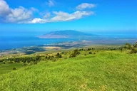 Maui Self-Guided Bike Tour from Haleakala thumbnail 6