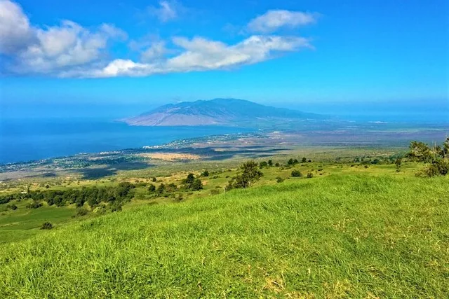 Maui Self-Guided Bike Tour from Haleakala - Image 6