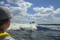 Orange Beach Dolphin Watching Cruise thumbnail 1