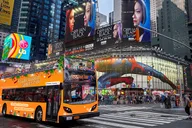 New York City Holiday Lights Sightseeing Tour thumbnail 2