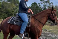 Miami Horseback Riding Tour with Instructor 1 hr thumbnail 6