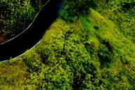 Maui Road to Hāna Sightseeing Tour thumbnail 4