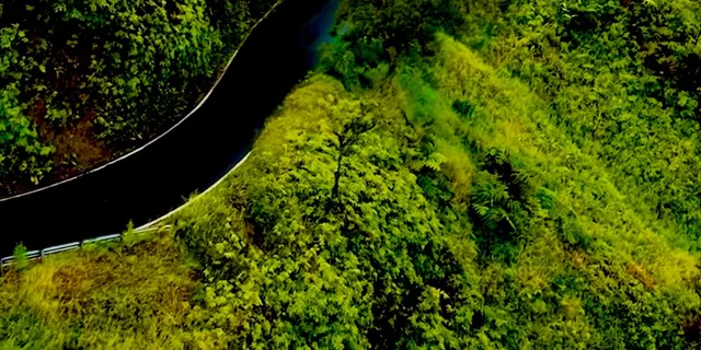 Maui Road to Hāna Sightseeing Tour - Image 4