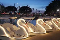 Los Angeles Swan Boat Rental at Echo Park Lake thumbnail 2