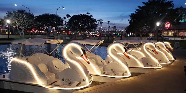 Los Angeles Swan Boat Rental at Echo Park Lake - Image 2