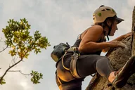 Anacortes Rock Climbing at Mt Erie thumbnail 1