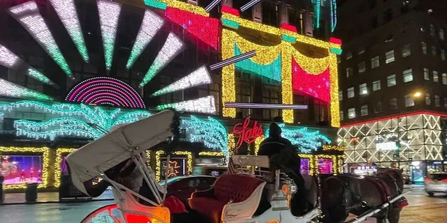 New York City Horse Carriage Ride with Christmas Lights - Image 3