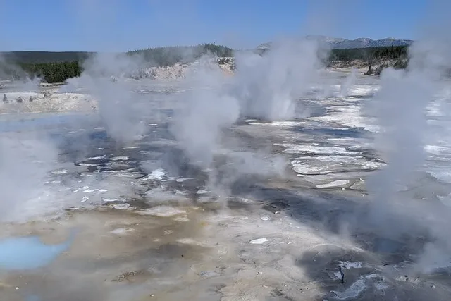 Yellowstone Upper Loop Tour - Image 6