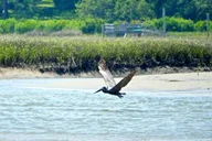 Wilmington Sunset Sail Tour thumbnail 4