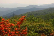 Gatlinburg Smoky Mountain Guided Hike thumbnail 1