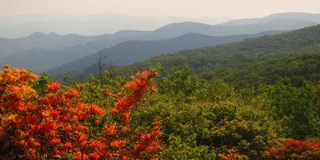 Gatlinburg Smoky Mountain Guided Hike
