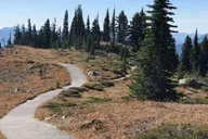Seattle Mount Rainier National Park Day Tour thumbnail 4