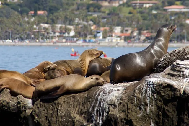 San Diego Seaside Scenic Tour From Orange County - Image 6
