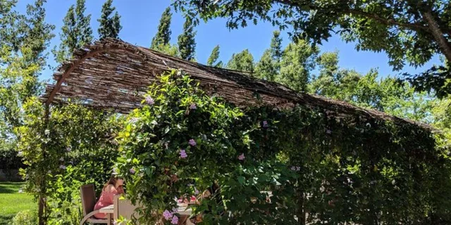 San Francisco Napa and Sonoma Valley Wine Tour - Image 3