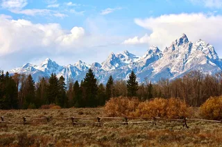 Yellowstone Full Day Tour