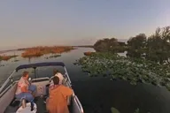 McIntosh Lakeshore Ecotour at Sunrise thumbnail 5