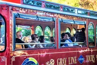 Asheville Hop-On Hop-Off Trolley Tour thumbnail 6
