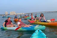Virginia Beach Dolphin Kayak Tour thumbnail 5
