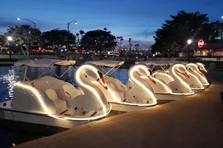 Long Beach Swan Boat Rental at Rainbow Lagoon
