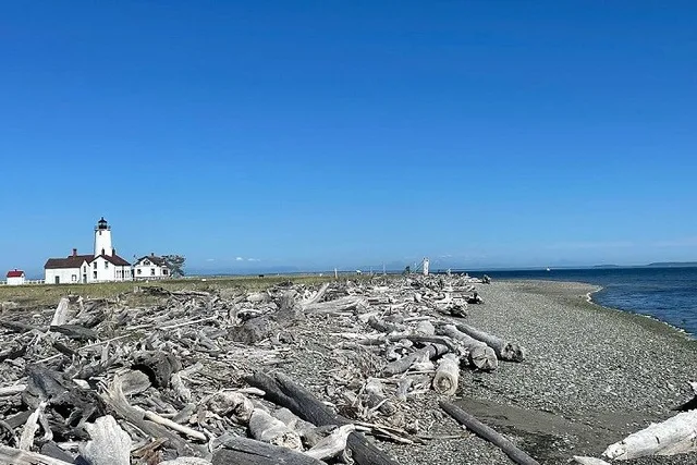 Sequim Sailing Charter in Sequim Bay - Image 6