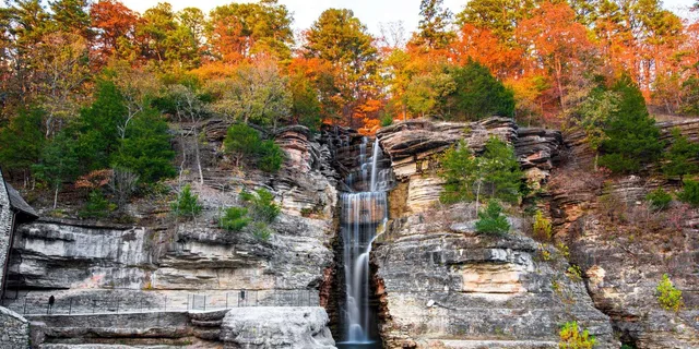 Branson Dogwood Canyon Nature Park Tour - Image 1