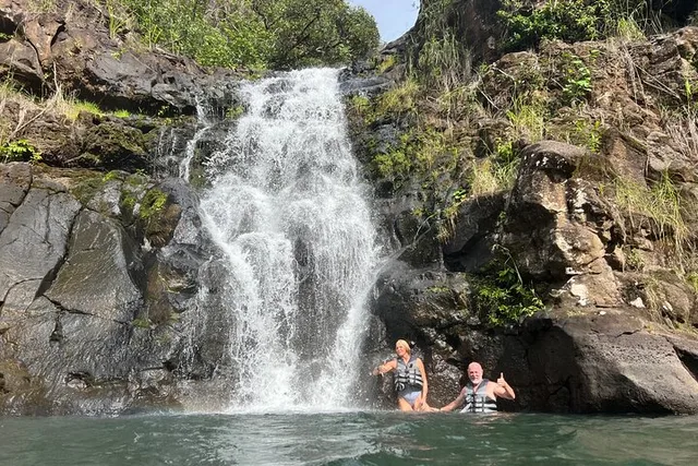 North Shore Waterfalls and Turtles Tour - Image 3