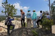 Yellowstone Loop Hike with Lunch thumbnail 4