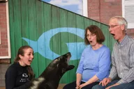 Atlanta Sea Lion Encounter thumbnail 5