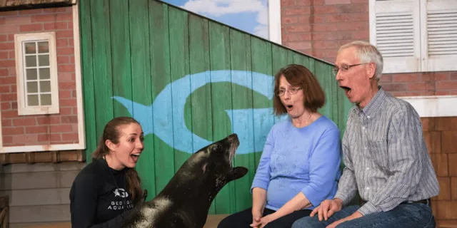 Atlanta Sea Lion Encounter - Image 5
