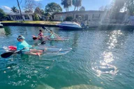 Crystal River Clear Kayak Manatee Tour 2.5 hr thumbnail 2