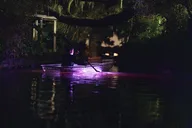 Winter Park Clear Kayak Glow Tour 90 Min thumbnail 6