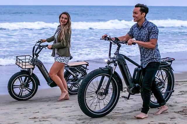 Hilo Electric Bike Rentals with Delivery - Image 1