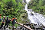 Seward Kayak Tour to Bridal Veil Falls 5 hr thumbnail 3