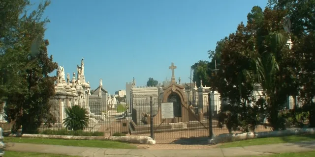 New Orleans City and Cemetery Private Tour - Image 2