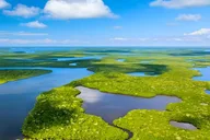 Everglades Immersion Tour thumbnail 4