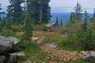 Nature Tour and Hike thumbnail 1
