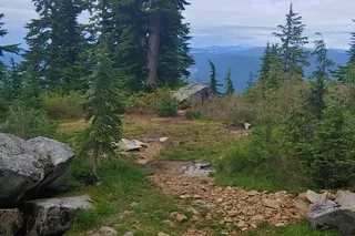 Nature Tour and Hike