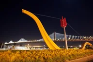 San Francisco Night Tour thumbnail 5